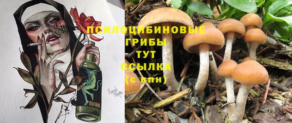 эйфоретик Алексин