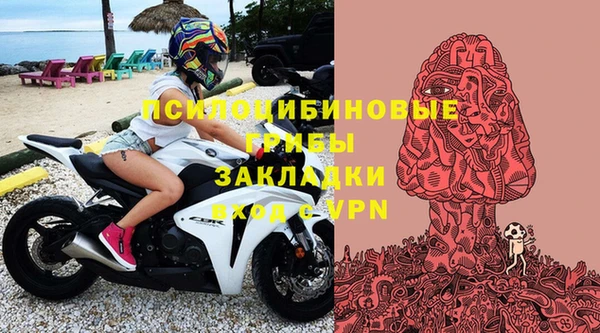 эйфоретик Алексин