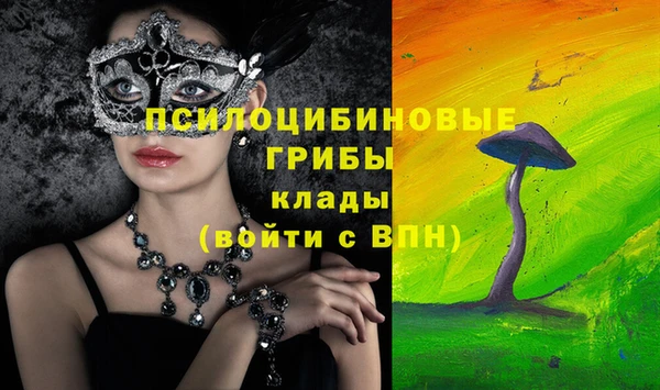 прущие грибы Алексеевка