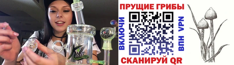 Галлюциногенные грибы прущие грибы  Енисейск 